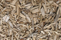 biomass boilers Willows